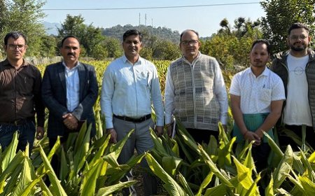 सरकाघाट और जोगिंदर नगर में जाइका निदेशक का दो दिवसीय दौरा