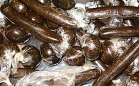 कुल्लू में तीन मामलों में करीब छह किलो चरस बरामद,पुलिस ने तीनों आरोपियों को किया गिरफ्तार