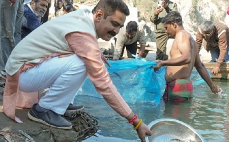 नदीय मत्स्य संपदा बढ़ाने हेतु कंडापत्तन ब्यास नदी में 88,000 और राणा खड्ड में छोड़े गए 45,000 मछली बीज  