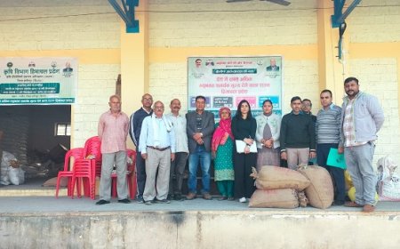 प्राकृतिक खेती से मक्की उगाई, 40 रुपये प्रति किलो बेचकर की खूब कमाई