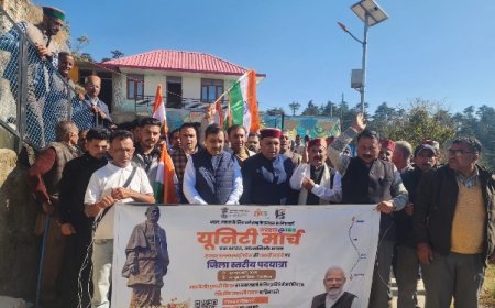 प्रधानमंत्री मोदी सरदार पटेल के विचारों को दे रहे  युगानुकूल दिशा  : सुरेश कश्यप