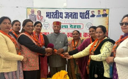 प्रदेश में बिगड़ती कानून-व्यवस्था पर बरसे भाजपा प्रदेशाध्यक्ष बिंदल,माफिया राज ने हिमाचल की शांति को तार-तार किया”