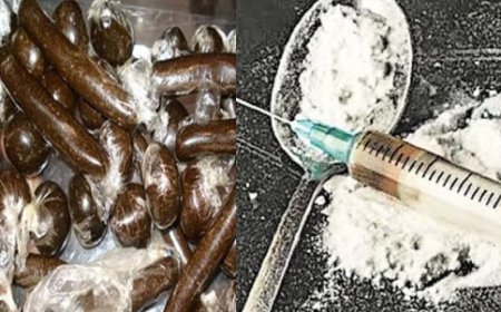 शिमला पुलिस की नशे के खिलाफ कार्रवाई,तीन अलग-अलग स्थानों से युवती सहित आठ लोग गिरफ्तार