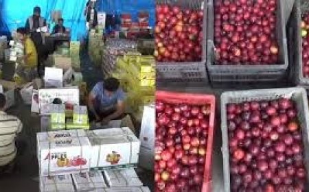 जहां सबसे पहले सेब आया , वहां बढ़ रही गुठलीदार फलों की खेती , हिमाचल में दिखने लगा जलवायु परिवर्तन का असर