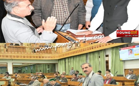 मंडी में सरकार के तीन साल पूरा होने पर जश्न नहीं, विजन बताएंगे :  मुख्यमंत्री