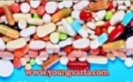 सोलन अस्पताल के जन औषधि केंद्र में बिना ड्रग लाइसेंस बेची जा रही थी मेडिसिन , 60 तरह की दवाइयां जब्त 