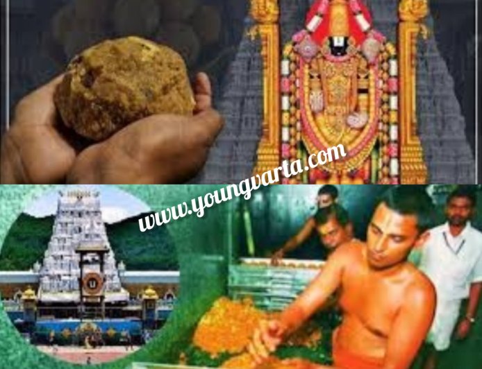 पांच साल तक तिरुपति मंदिर में चढ़ा नकली घी का प्रसाद , भगवान के घर हुआ 250 करोड़ का लड्डू घोटाला जानिए