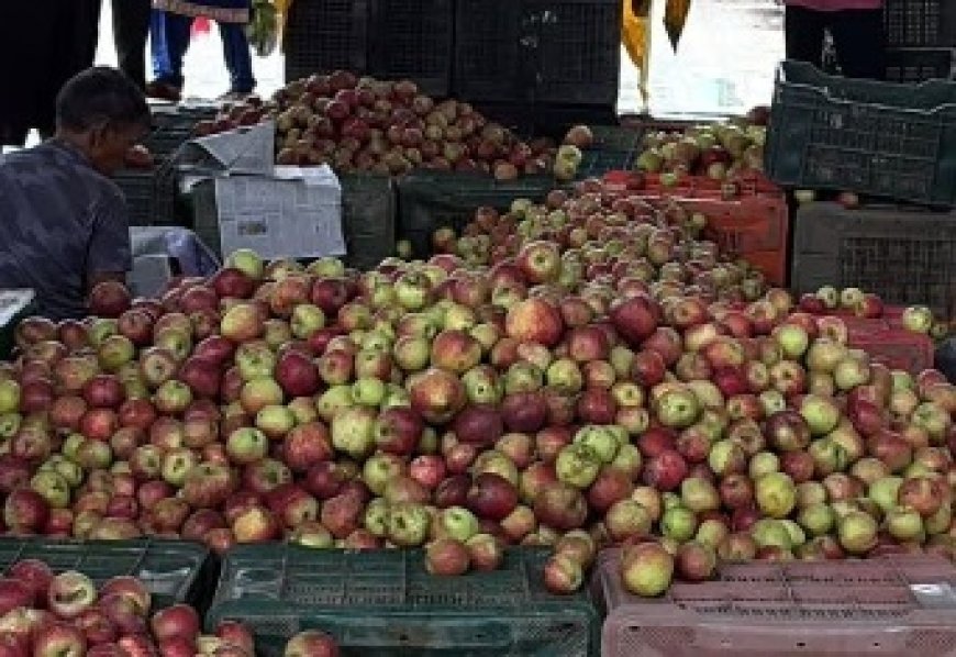 रोहड़ू क्षेत्र से सेब कारोबार में बड़ी ठगी,भुगतान की मांग करने पर व्यक्ति को जान से मारने की मिली धमकी