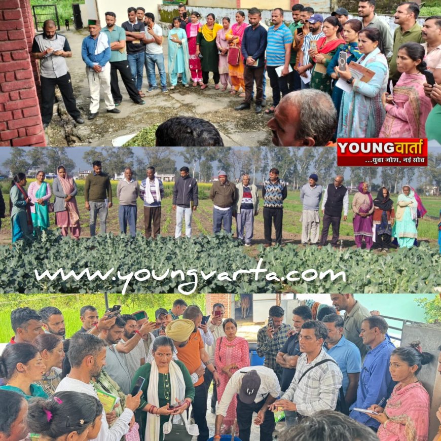 उन्नत किस्मों और कृषि विधियों को अपनाएं किसान , हिमाचल प्रदेश कृषि विश्वविद्यालय ने जारी की एडवायजरी 