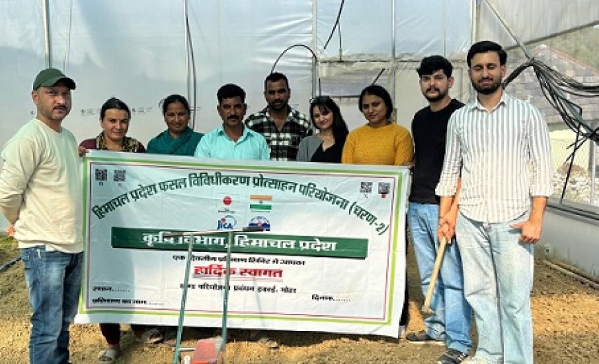 जायका परियोजना से मंडी में फसल विविधीकरण को बढ़ावा