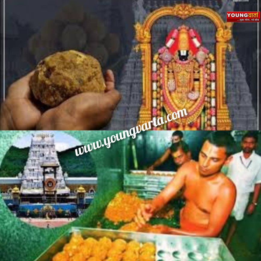 पांच साल तक तिरुपति मंदिर में चढ़ा नकली घी का प्रसाद , भगवान के घर हुआ 250 करोड़ का लड्डू घोटाला जानिए