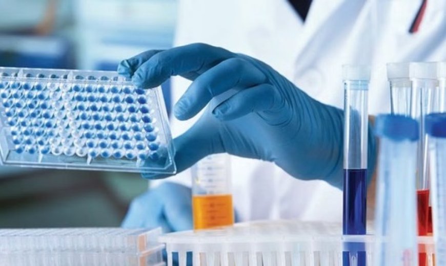 प्रदेश में सभी अस्पतालों के ब्लड बैंक को दान किए रक्त की जांच एलिसा तकनीक से करने के निर्देश  