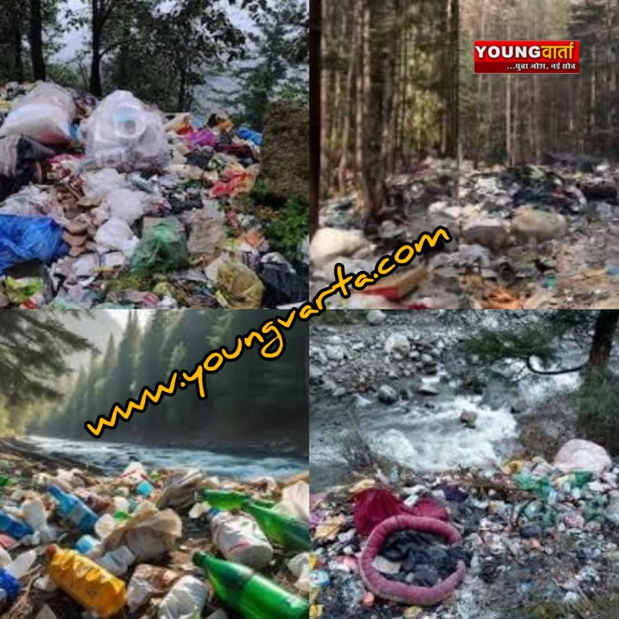 कसोल कचरा वीडियो वायरल होने पर अधिकारियों को एनजीटी की फटकार , सरकार से विस्तृत अनुपालन के निर्देश 