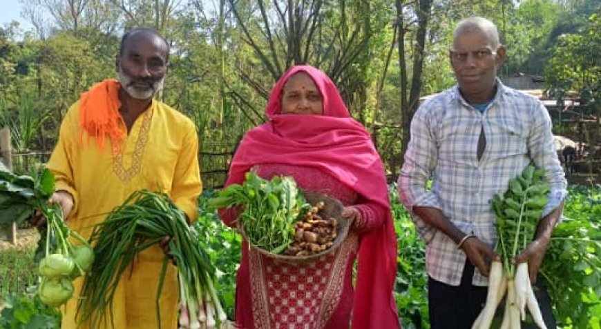 प्राकृतिक खेती से गांव जमनोटी में आई खुशहाली,अच्छे दाम मिलने से बागवान खुश 