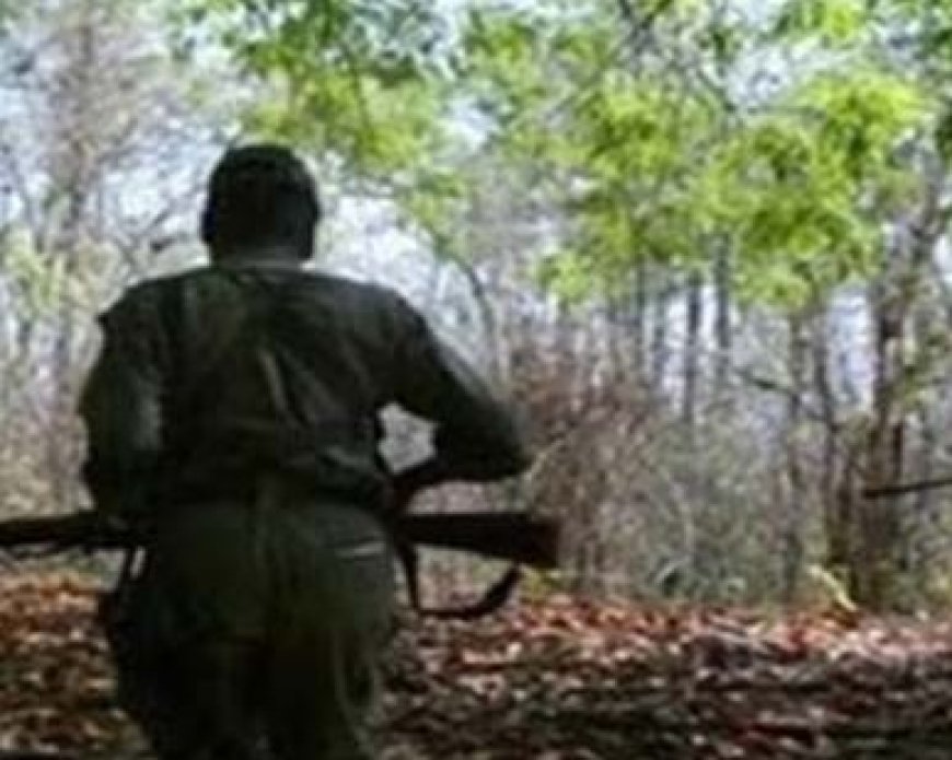 छत्तीसगढ़ के सुकमा में सुरक्षाबलों और नक्सलियों में मुठभेड़, तीन नक्सली ढेर  