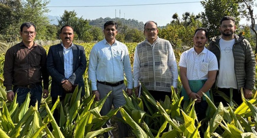 सरकाघाट और जोगिंदर नगर में जाइका निदेशक का दो दिवसीय दौरा