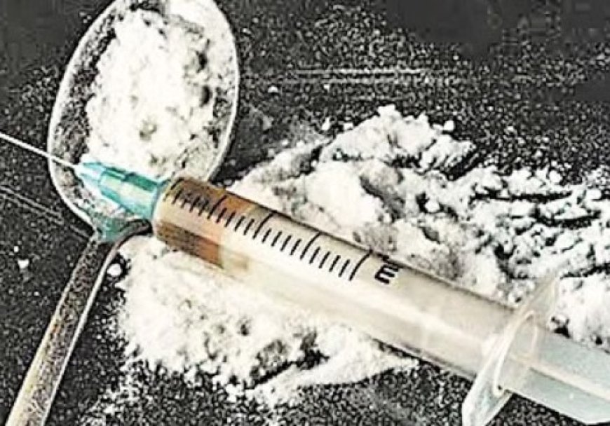 चिट्टा तस्करों का नेटवर्क ध्वस्त करने के लिए हिमाचल पुलिस पंचायत स्तर पर विकसित करेगी सूचना तंत्र  