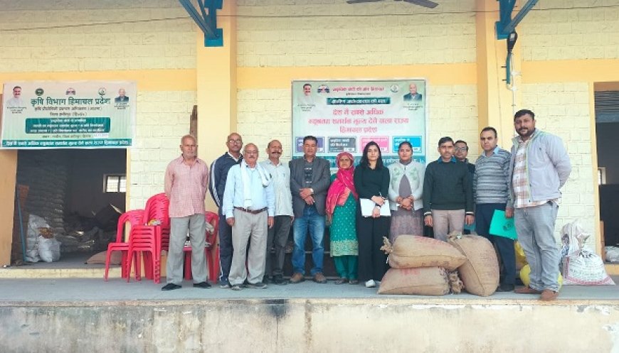 प्राकृतिक खेती से मक्की उगाई, 40 रुपये प्रति किलो बेचकर की खूब कमाई