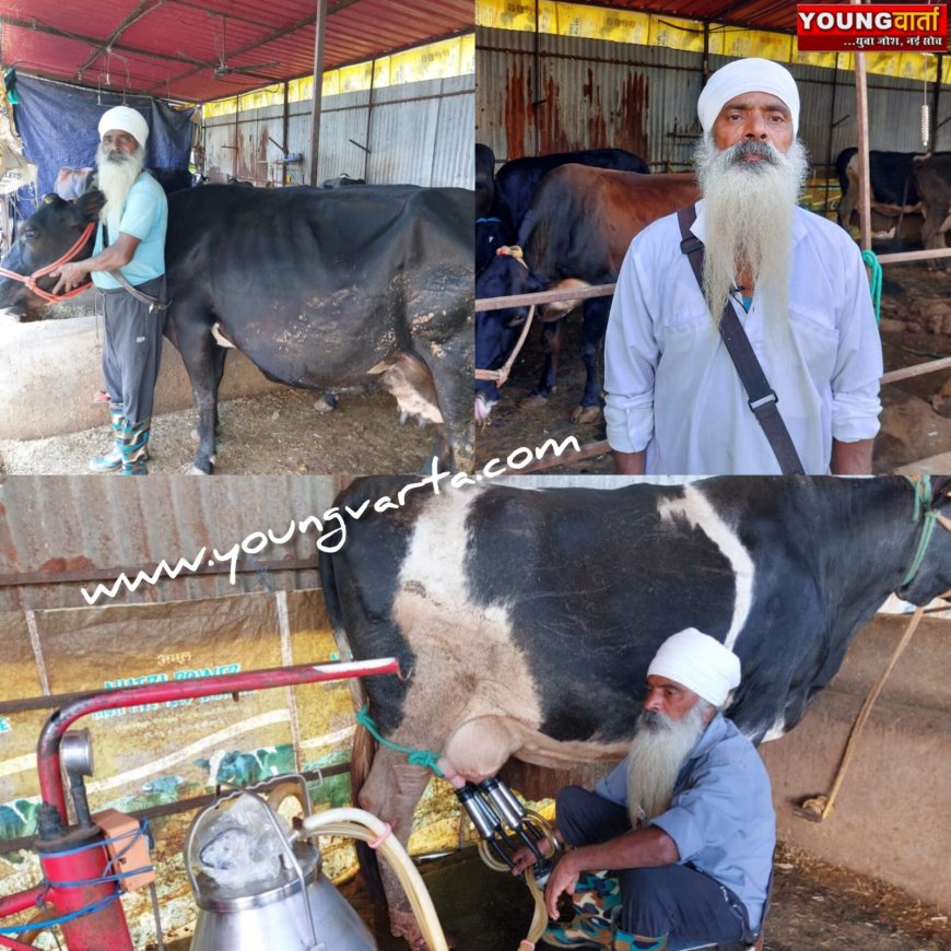 डेयरी व्यवसाय ने बदली विजय कुमार की किस्मत , 20 पशुओं की डेयरी से कमा रहे 60 हजार रुपये महीना 