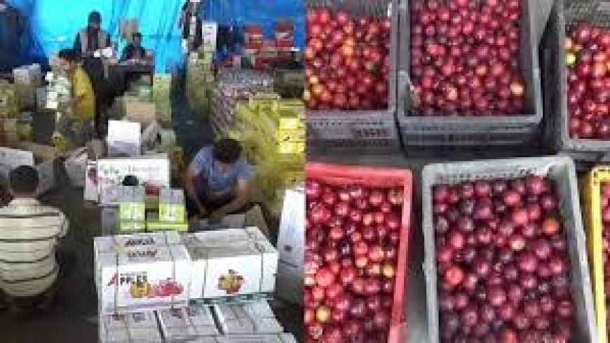 जहां सबसे पहले सेब आया , वहां बढ़ रही गुठलीदार फलों की खेती , हिमाचल में दिखने लगा जलवायु परिवर्तन का असर