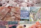 अब हिमालयन पिंक साल्ट बढ़ाएगा दुनिया भर का जायका ,  गुम्मा के नमक में मौजूद हैं 84 मिनरल्स 