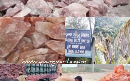 अब हिमालयन पिंक साल्ट बढ़ाएगा दुनिया भर का जायका ,  गुम्मा के नमक में मौजूद हैं 84 मिनरल्स 