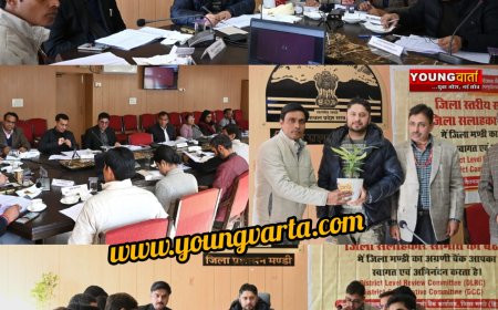 अधिक लोगों तक पहुंचाई जाए सोशल सिक्योरिटी योजनाओं की जानकारी , डीसी ने बैंकों को दिए निर्देश 