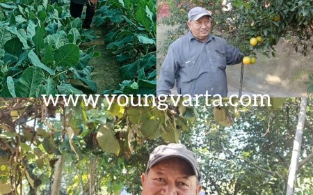 प्राकृतिक खेती ने बदल दी अमर सिंह और उनके परिवार की जिंदगी