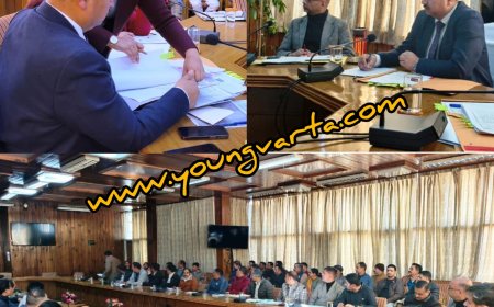 सात दिनों में जारी करें निशानदेही के मामलों के सम्मन , लेटलतीफी पर डीसी ने लगाई कानूनगो-पटवारी की क्लास 