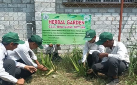 स्कूलों और आयुष केंद्रों में खिले हर्बल गार्डन , आयुष पद्धति को बढ़ावा देने के लिए रोपे गए औषधीय पौधे