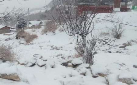 बर्फबारी के बाद शीतलहर तेज, 15 स्थानों पर न्यूनतम पारा 5 डिग्री से कम