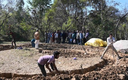 कारगर बनी शिवा परियोजना जापानी फल उत्पादन से बागवानों को हर वर्ष 2.50 करोड की आमदनी का अनुमान