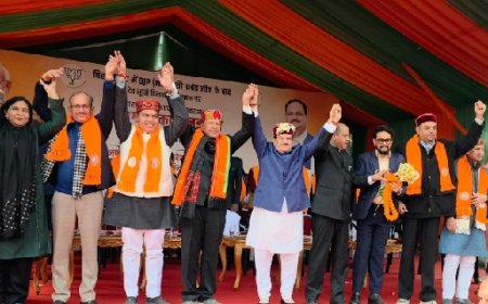 बिहार चुनाव में मोदी–शाह–नड्डा नेतृत्व ने कांग्रेस का किया सूपड़ा साफ  : डॉ बिंदल