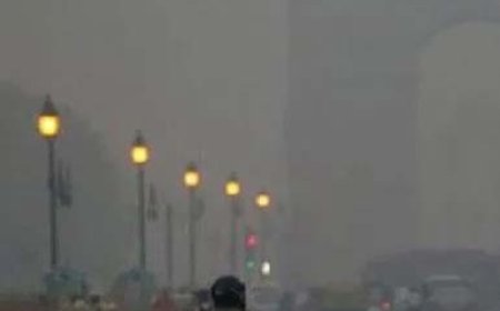 दिल्ली में प्रदूषण की गंभीर स्थिति बरकरार, 460 के पार पहुंचा गुणवत्ता सूचकांक