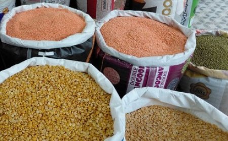 प्रदेश के राशन डिपुओं में सस्ती हुई चना दाल, जल्द ही चना दाल की दी जाएंगी सप्लाई  
