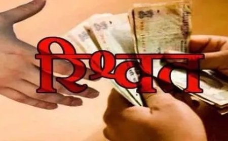 विजिलेंस ने व्यक्ति से रोड क्लीयर करने की एवज में 50 हजार रुपये की रिश्वत लेते वन रक्षक गिरफ्तार 