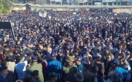 सीएम सुक्खू की अगुवाई में चिट्टे के खिलाफ हमीरपुर में  मेगा वॉकथॉन का आयोजन