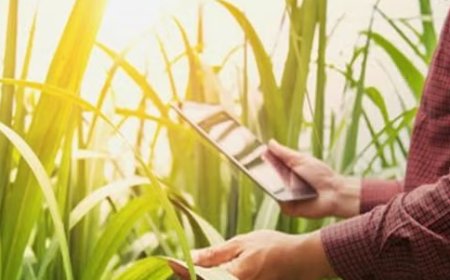 सिरमौर में कृषि क्षेत्र को आधुनिक तकनीक से जोड़ने के लिए फसलों का होगा डिजिटल सर्वेक्षण  