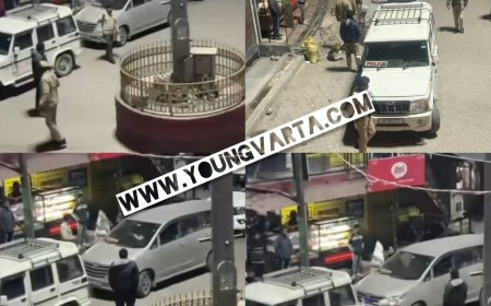 हिमाचल पुलिस की नजर से नहीं बच पाई नकली पुलिस , हरिपुरधार में लाल बत्ती लगी पुलिस की दो गाड़ियां पकड़ी 