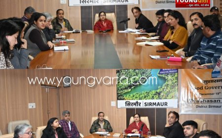 लोगों की शिकायतों को समयबद्ध रूप से निवारण अधिकारी , डीसी ने पोर्टल की समीक्षा बैठक में दिए निर्देश 