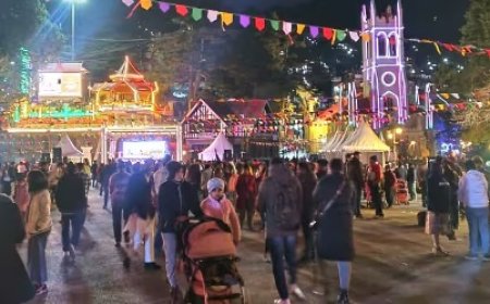 फेस्टिवल सीजन  विंटर कार्निवल, क्रिसमस और नववर्ष के दौरान ढाबे और होटल दिन रात रहेंगे खुले, निर्देश जारी 