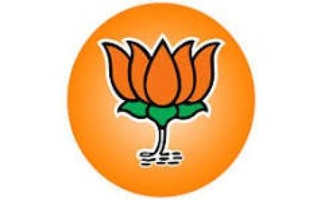 भाजपा ने बनाई वरिष्ठ नागरिक, औद्योगिक, विधिक, सीए व चुनाव प्रकोष्ठों में नई टीम  , सभी नियुक्तियाँ तत्काल प्रभाव से लागू
