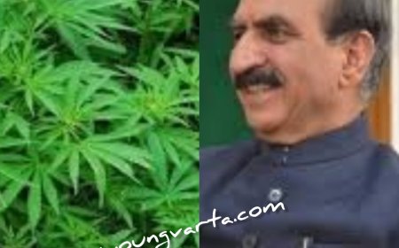 मुख्यमंत्री की ग्रीन टू गोल्ड पहल से बढ़ेगी किसानों की आमदनी , औषधीय गुणों से युक्त भांग के लिए जाना जाएगा 