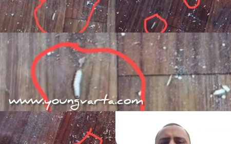 सरकारी डिपो में मिल रहा कीड़े वाला राशन , भरमौर के रेहला राशन डिपो में कीड़े वाले चावल का वायरल वीडियो वायरल 