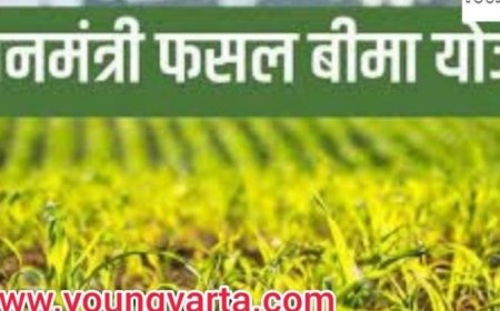 प्रधानमंत्री फसल बीमा योजना के अंतर्गत फसलों का बीमा करने की तारीख बढी, 15 जनवरी तक करा सकेंगे बीमा