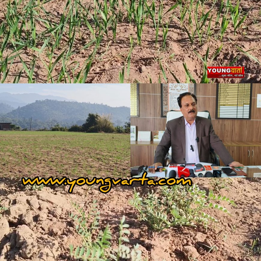 मौसम की बेरुखी की मार झेल रहे किसान , सिरमौर के कई क्षेत्रों में नहीं हो पा रही गेहूं की बिजाई 