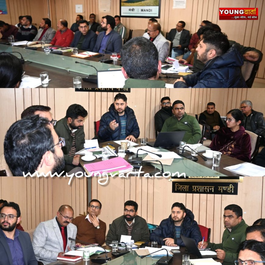 सिंगल यूज प्लास्टिक पर सख्त निगरानी और कार्रवाई सुनिश्चित की जाएगी : डीसी 