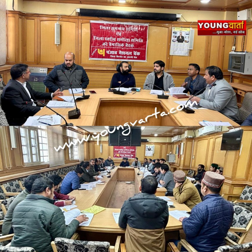 शिक्षा और कृषि के लिए सस्ता ऋण दे बैंक , जिला स्तरीय समीक्षा एवं समन्वय समिति की बैठक में डीसी ने दिए निर्देश 