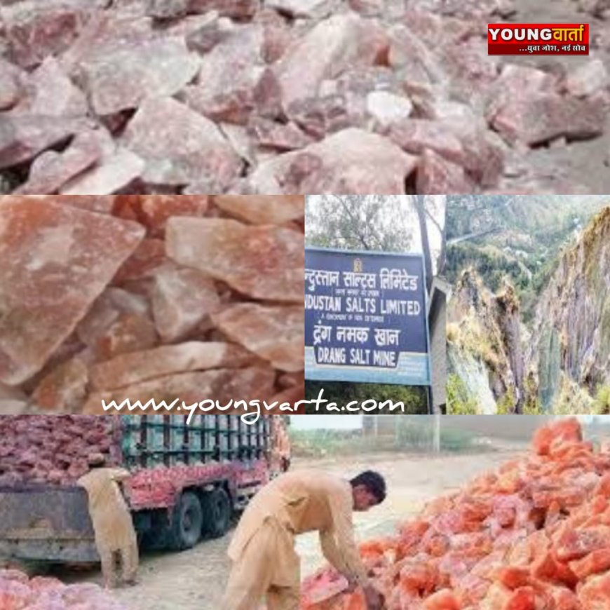 अब हिमालयन पिंक साल्ट बढ़ाएगा दुनिया भर का जायका ,  गुम्मा के नमक में मौजूद हैं 84 मिनरल्स 
