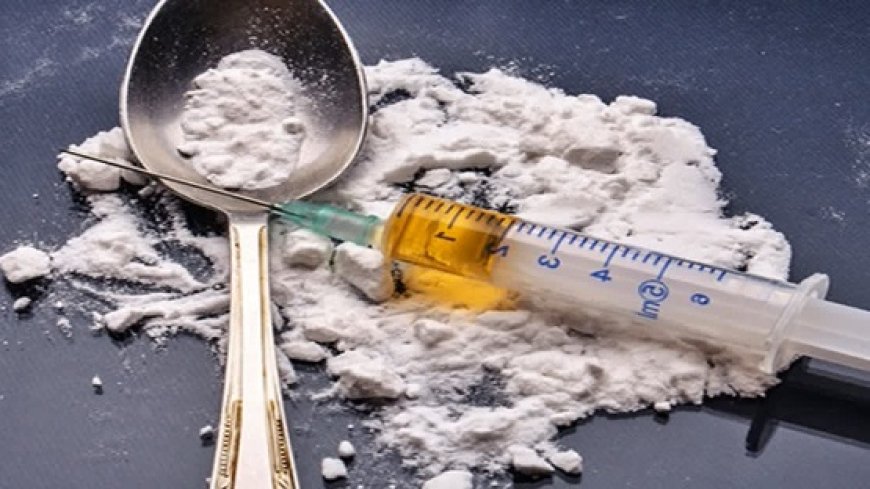 शिमला शहर के कई हिस्सों में तस्कर किराये पर कमरे लेकर चिट्टा तस्करी का कर रहे धंधा 